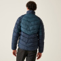 előnézet REGATTA Dalent Winter férfi téli dzseki