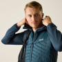 előnézet REGATTA Andreson Hybrid kék férfi outdoor dzseki